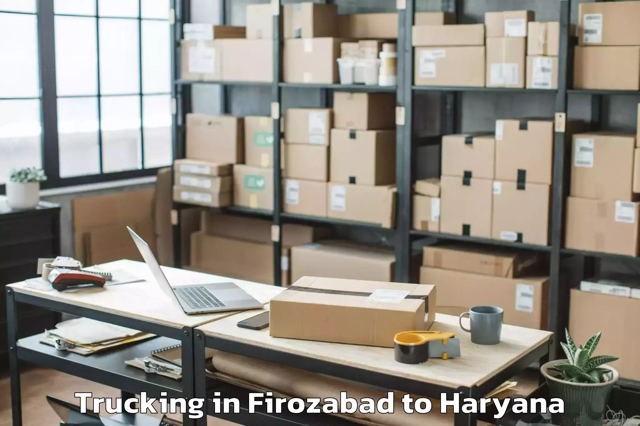 Leading Firozabad to Sohna Trucking Provider